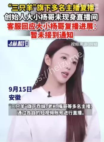 三只羊直播新套路