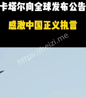 卡塔尔感谢中国