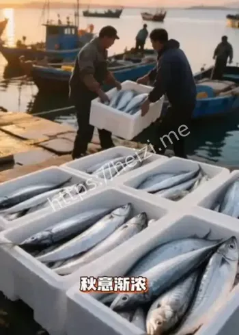 带鱼营养价值科普